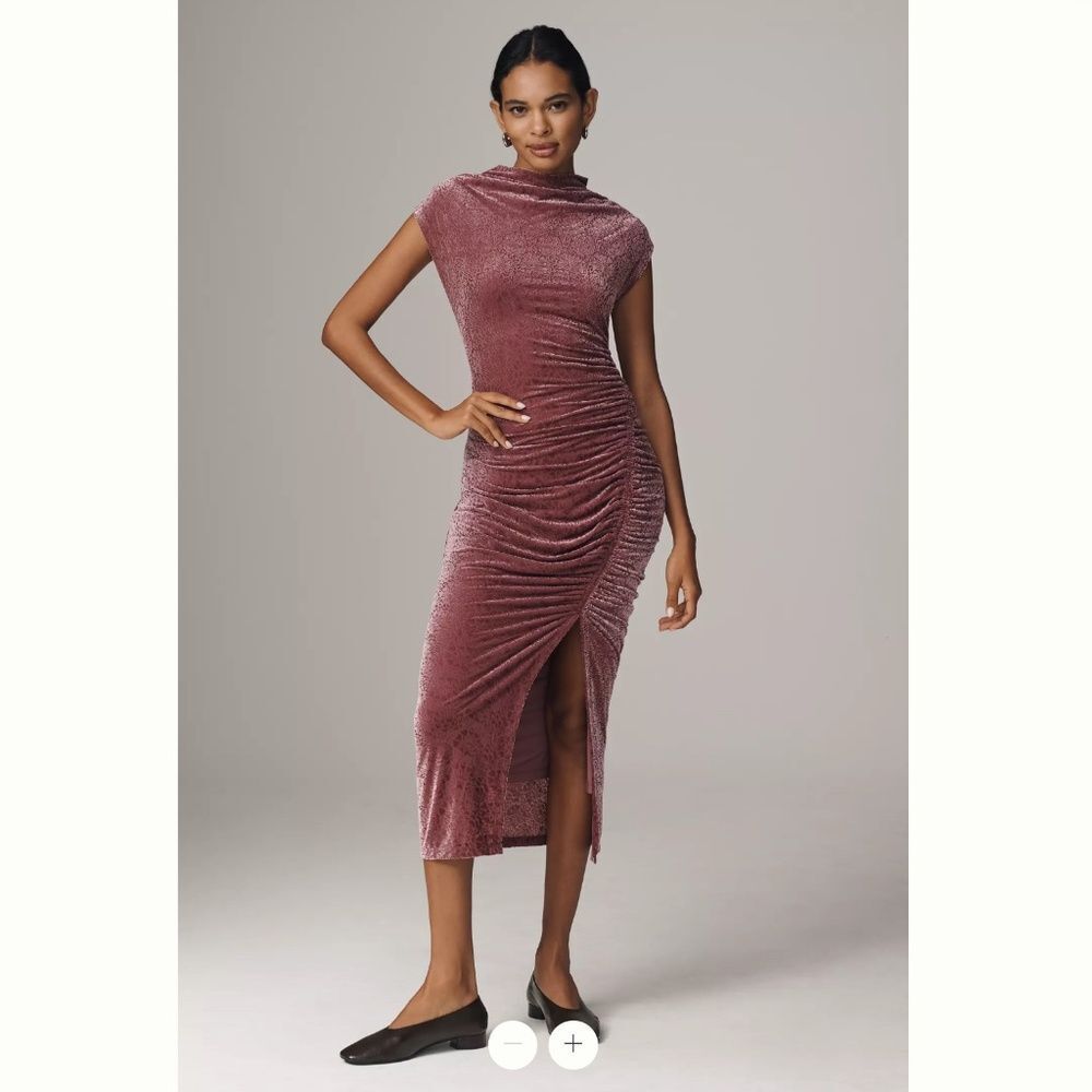 Anthropologie The Maya Ruched Cowl-Neck Dress: Mesh Edition: Velvet Edition